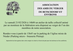 Cours de taille 2025.03 01