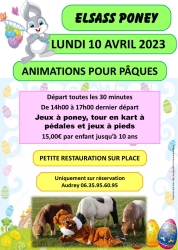 Elsass Poney CARNAVAL 2022